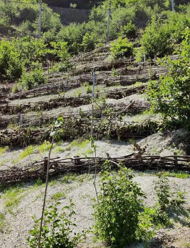 Monitoraggio del costone franoso sopra la spiaggia di Ficocella con il sistema Land Sentinel di InSensus Project.
